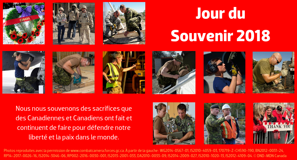 Jour du Souvenir 2018 --- Nous nous souvenons des sacrifices que des Canadiennes et Canadiens ont fait et continuent de faire pour défendre notre liberté et la paix dans le monde.