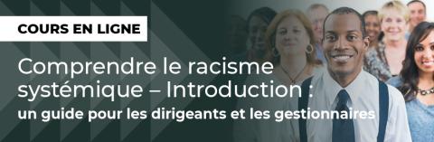 Cours Comprendre le racisme systémique – Introduction bannière web 920x300